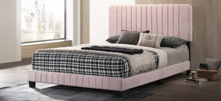 Lodi Upholstered Panel Bed in Pink by Glory Furniture