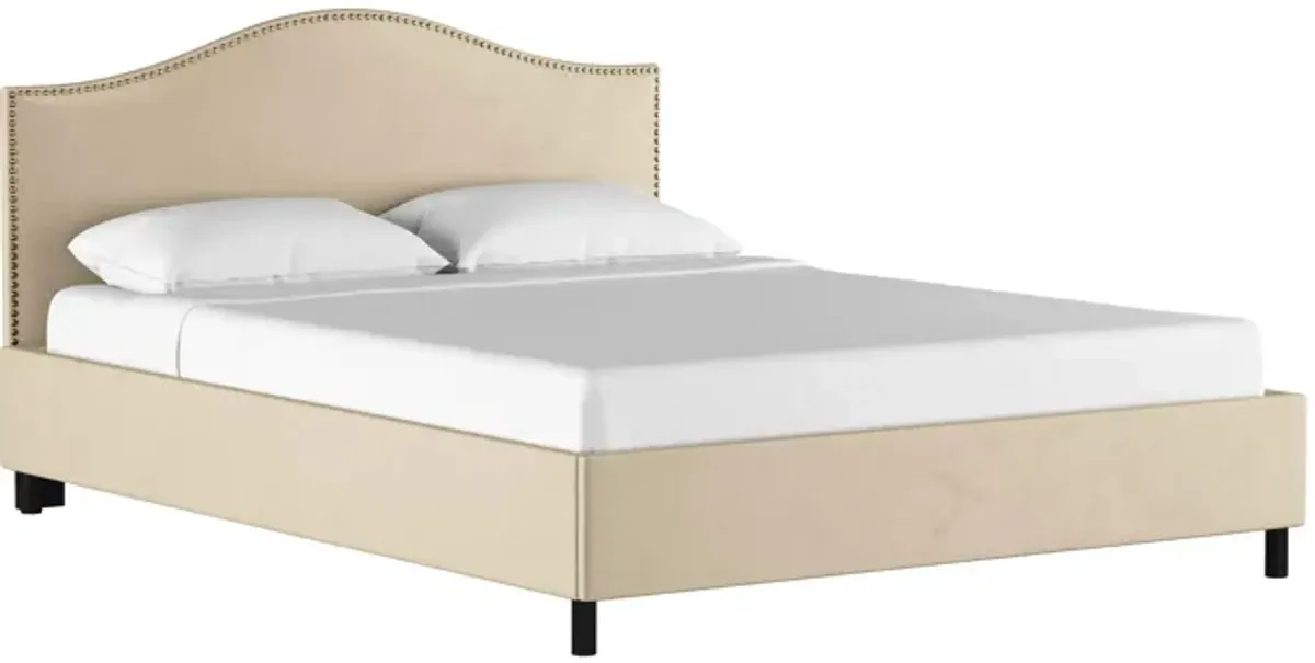 Alexander Platform Bed