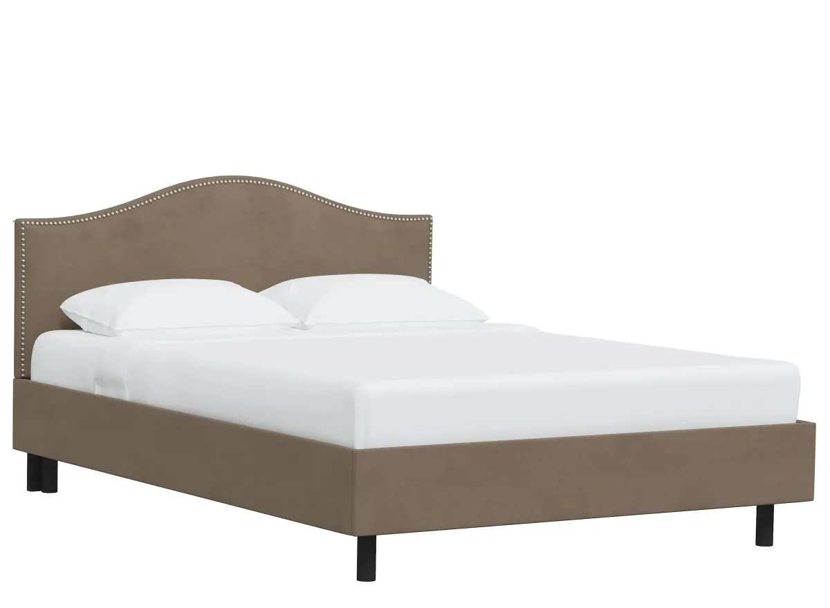 Alexander Platform Bed in Velvet Cocoa by Skyline