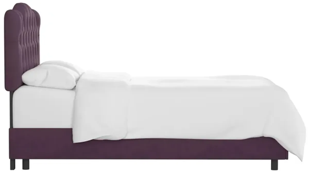 Argona Bed