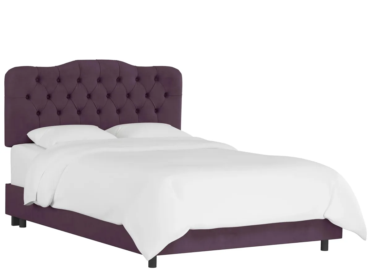 Argona Bed in Velvet Aubergine by Skyline