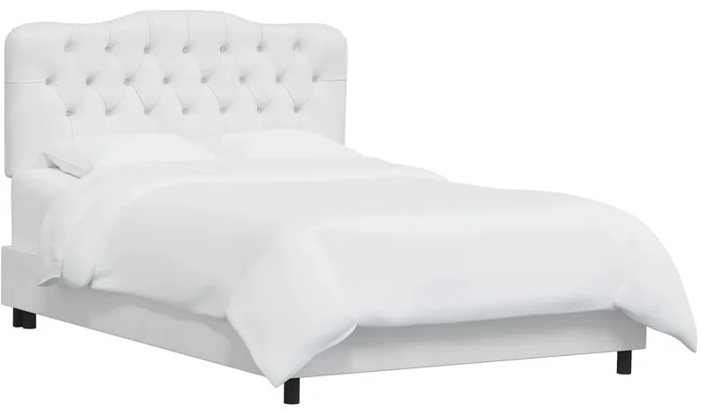 Argona Bed in Velvet White by Skyline