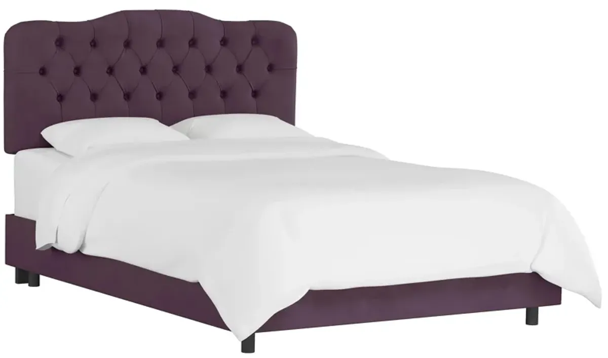 Argona Bed in Velvet Aubergine by Skyline