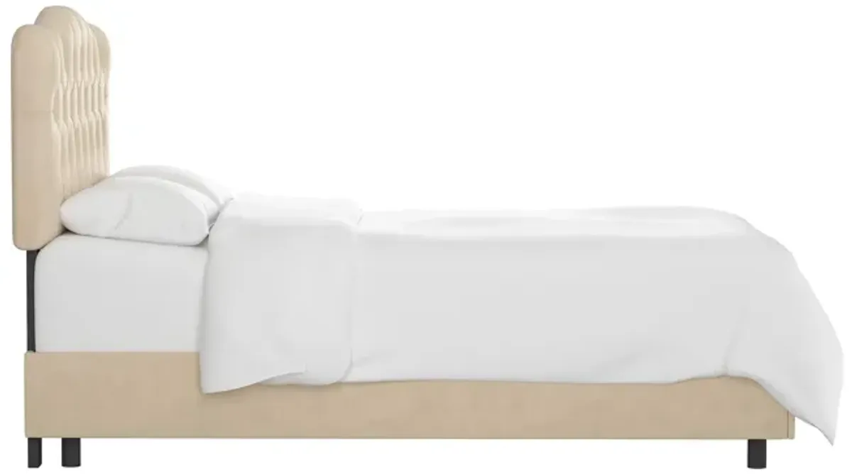 Argona Bed