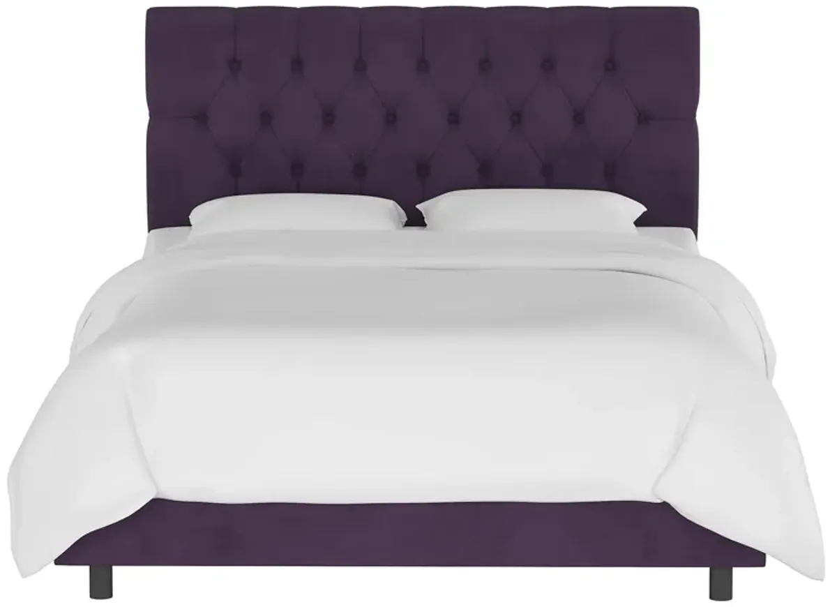 Blanchard Bed in Velvet Aubergine by Skyline