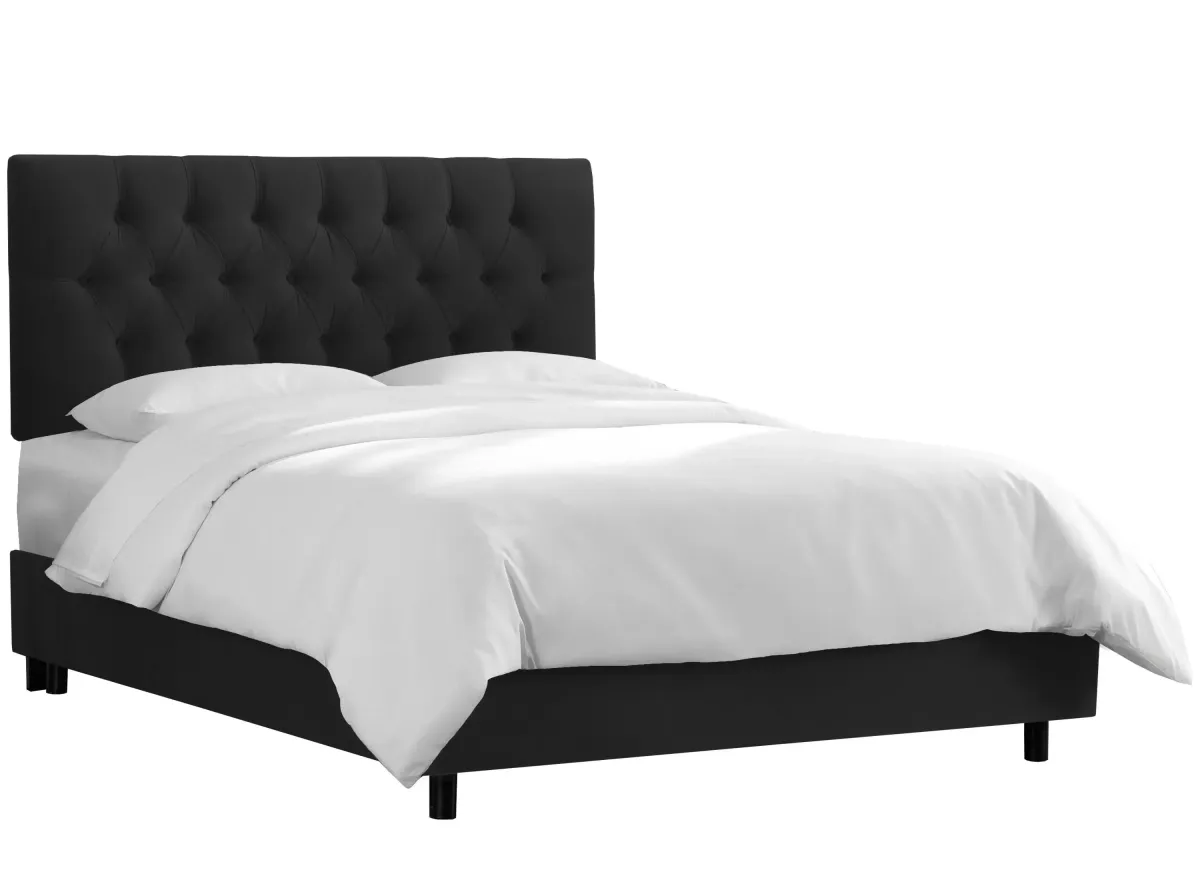 Blanchard Bed in Velvet Black by Skyline