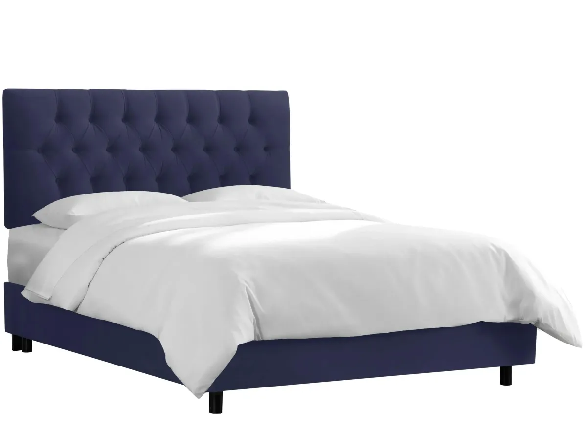 Blanchard Bed in Velvet Navy by Skyline