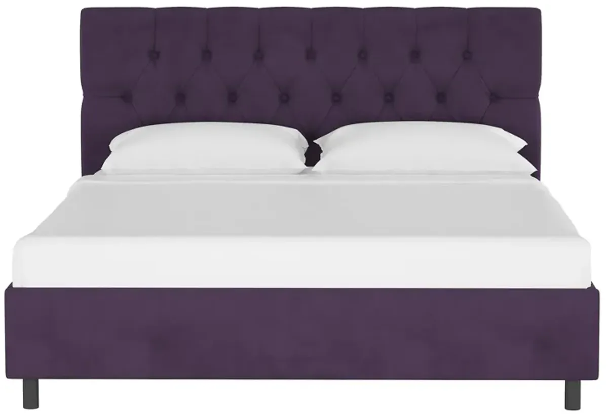 Blanchard Platform Bed in Velvet Aubergine by Skyline