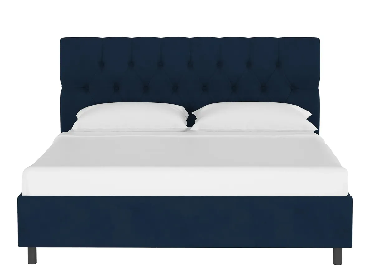 Blanchard Platform Bed in Velvet Ink by Skyline