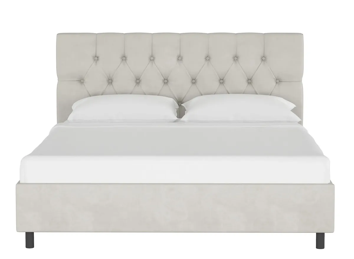 Blanchard Platform Bed in Velvet Light Gray by Skyline