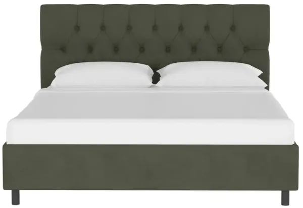 Blanchard Platform Bed