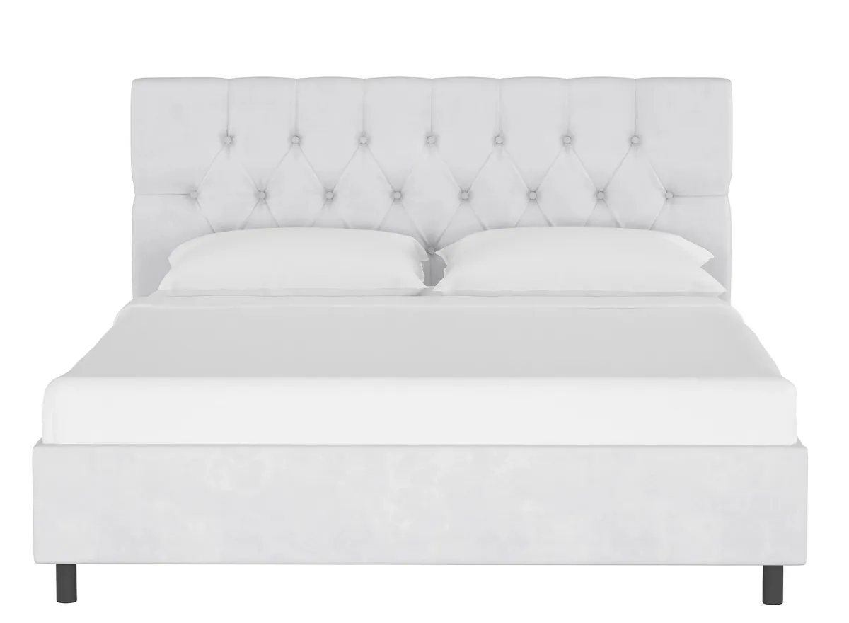 Blanchard Platform Bed in Velvet White by Skyline