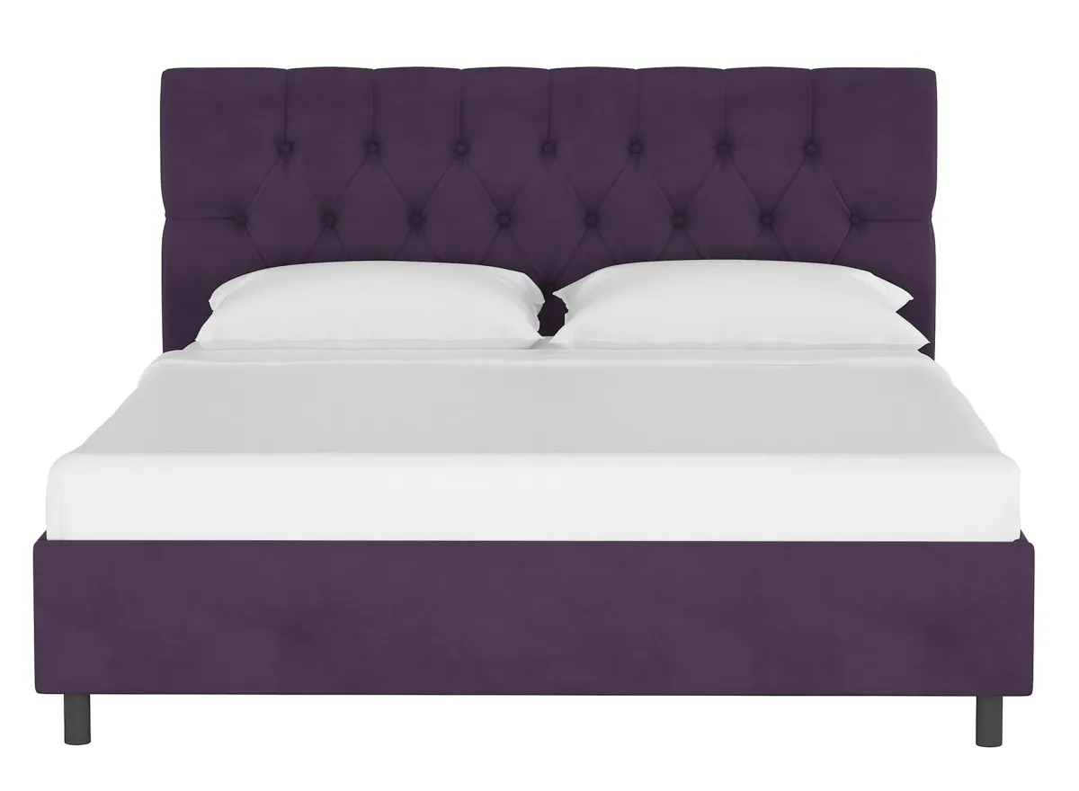 Blanchard Platform Bed in Velvet Aubergine by Skyline