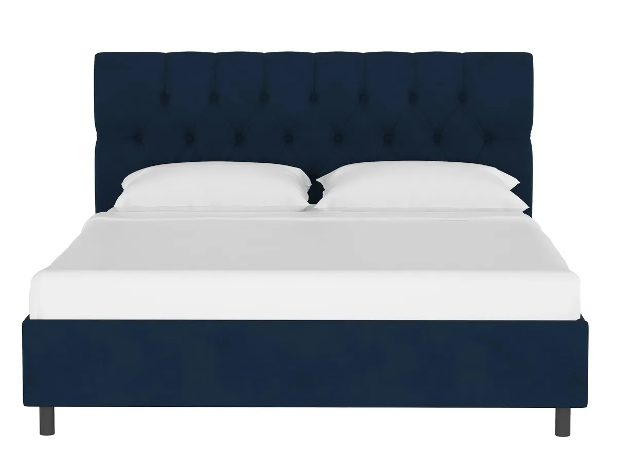 Blanchard Platform Bed in Velvet Ink by Skyline