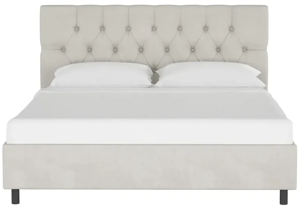 Blanchard Platform Bed in Velvet Light Gray by Skyline