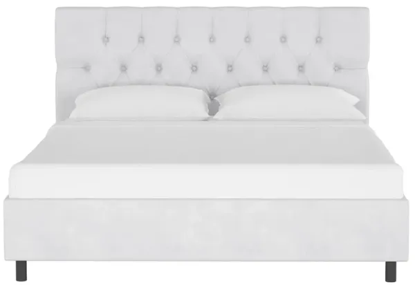 Blanchard Platform Bed