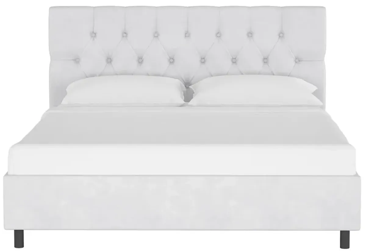 Blanchard Platform Bed in Velvet White by Skyline