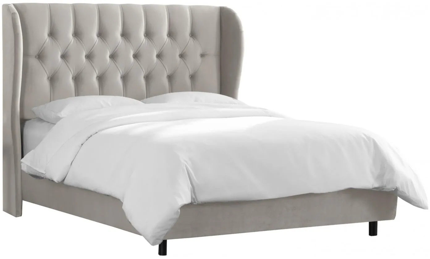 Thayer Wingback Bed in Velvet Light Gray by Skyline
