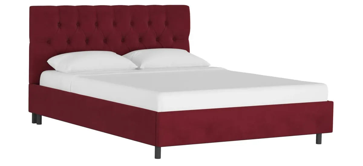 Blanchard Platform Bed in Velvet Berry by Skyline