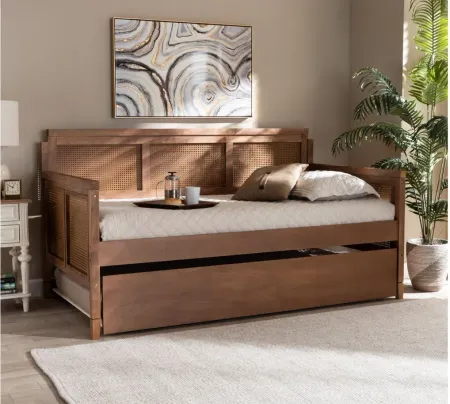 Toveli Daybed with Trundle in Ash walnut by Wholesale Interiors