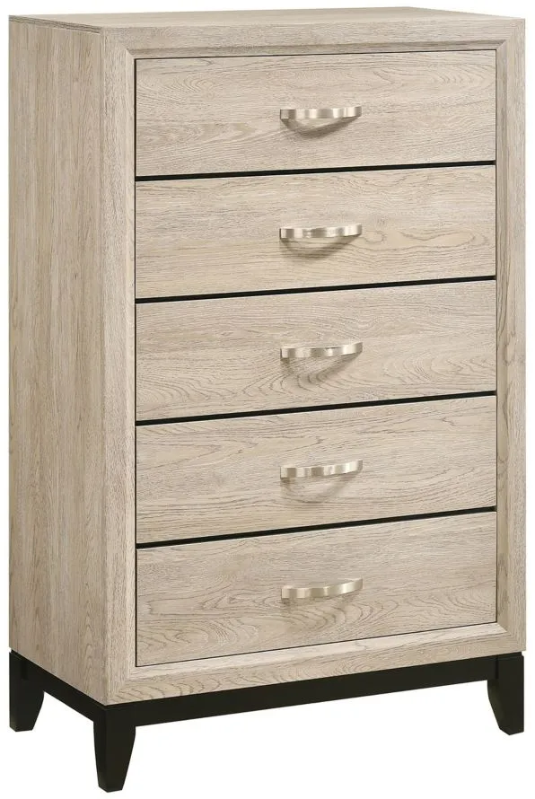 Akerson Chest in Driftwood by Crown Mark