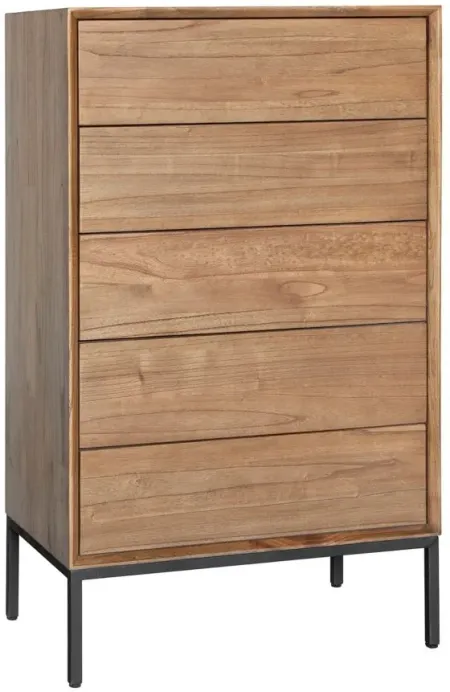 Hathaway 5-Drawer Chest in Newton Brown by New Pacific Direct