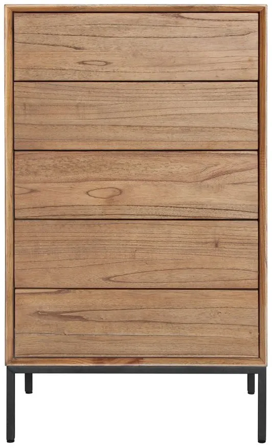 Hathaway 5-Drawer Chest in Newton Brown by New Pacific Direct
