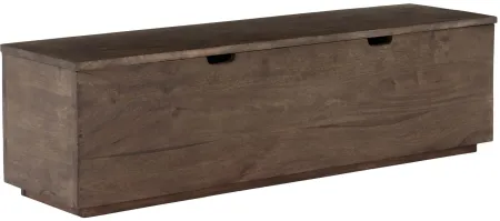 Harmon Bedroom Trunk in Aged Brown by Four Hands