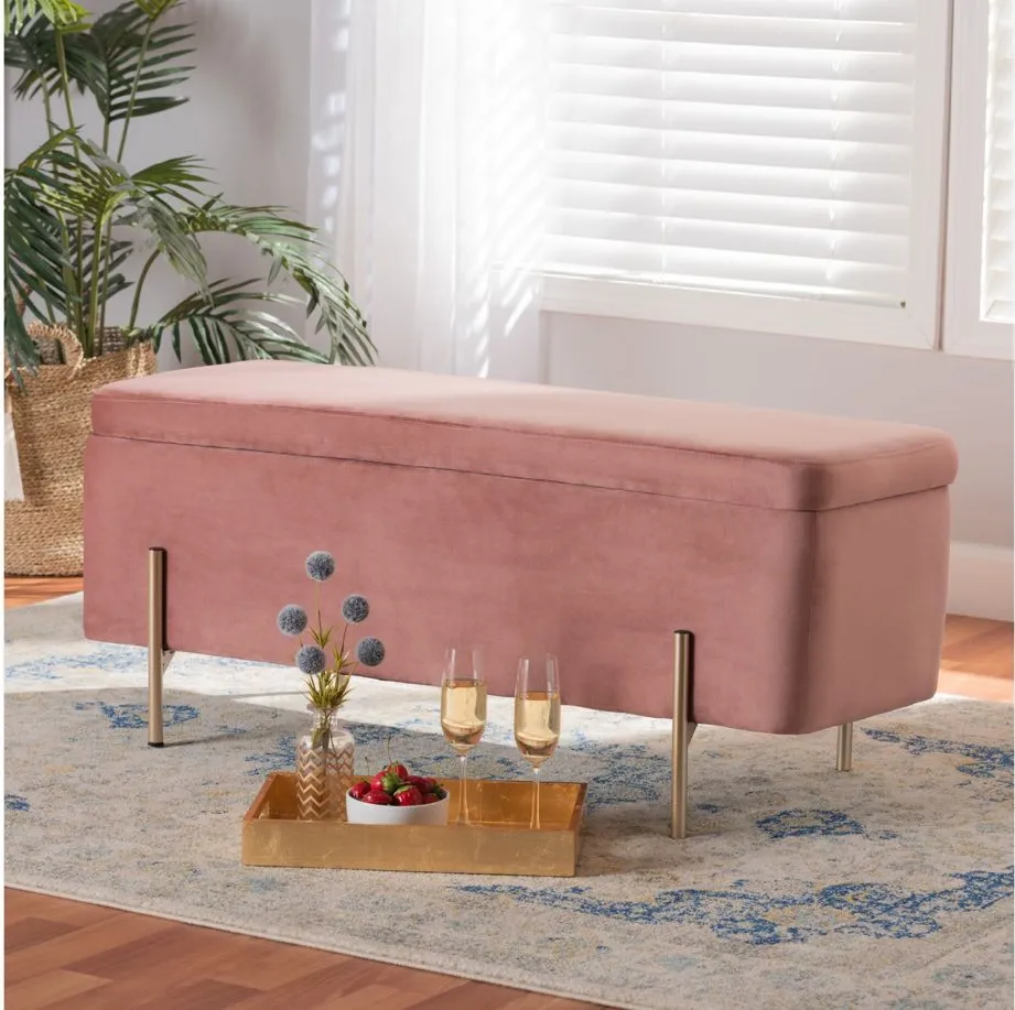 Rockwell Upholstered Storage Bench in Blush Pink/Gold by Wholesale Interiors