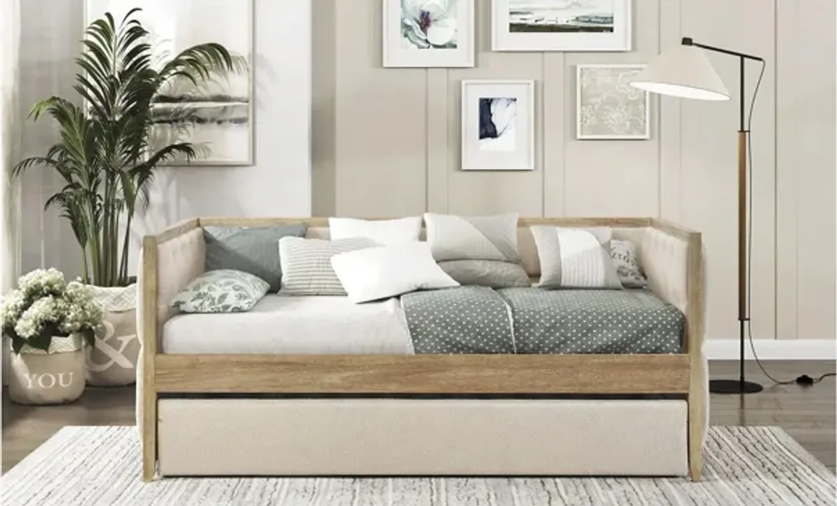 Andes Daybed With Trundle