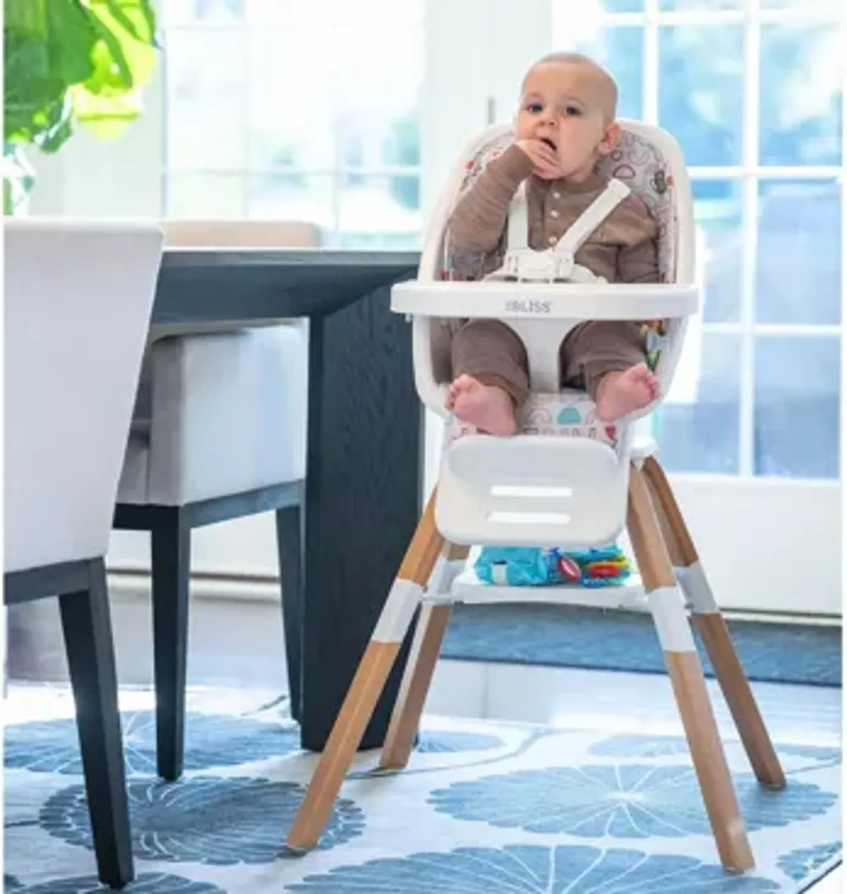 TruBliss 2-in-1 High Chair