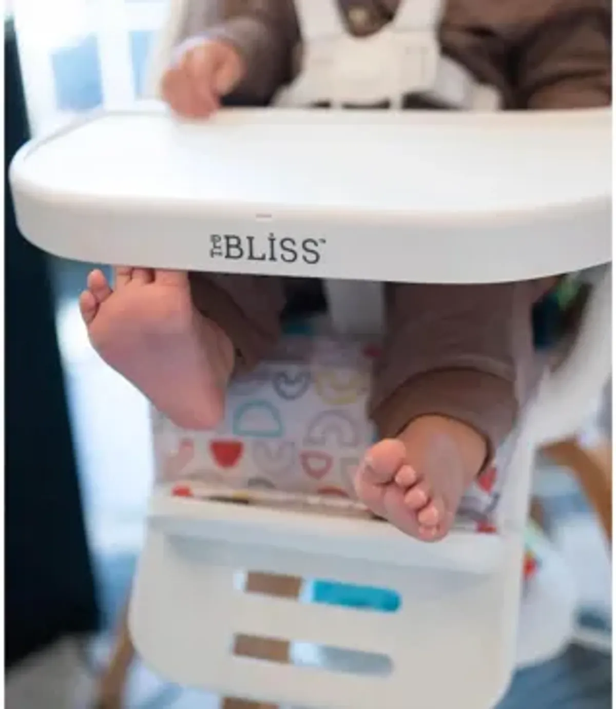 TruBliss 2-in-1 High Chair