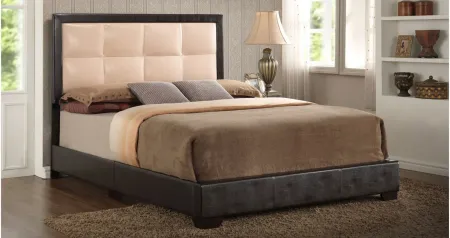 Panello Full Bed in LIGHT BROWN by Glory Furniture