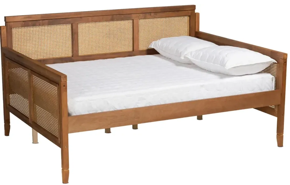 Toveli Daybed in Ash Walnut by Wholesale Interiors