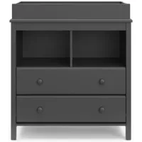 Alpine 2-Drawer Changing Chest in Gray by Bellanest