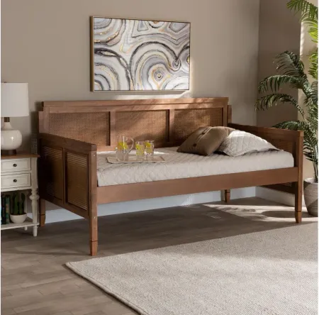 Toveli Daybed in Ash walnut by Wholesale Interiors