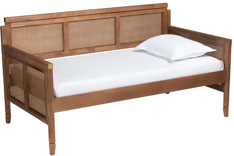 Toveli Daybed in Ash walnut by Wholesale Interiors