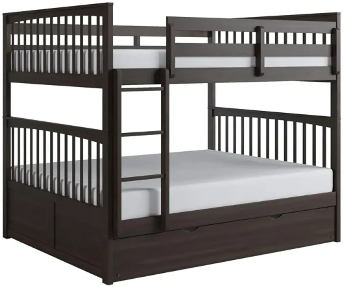 Apollo Bunk Bed with Trundle