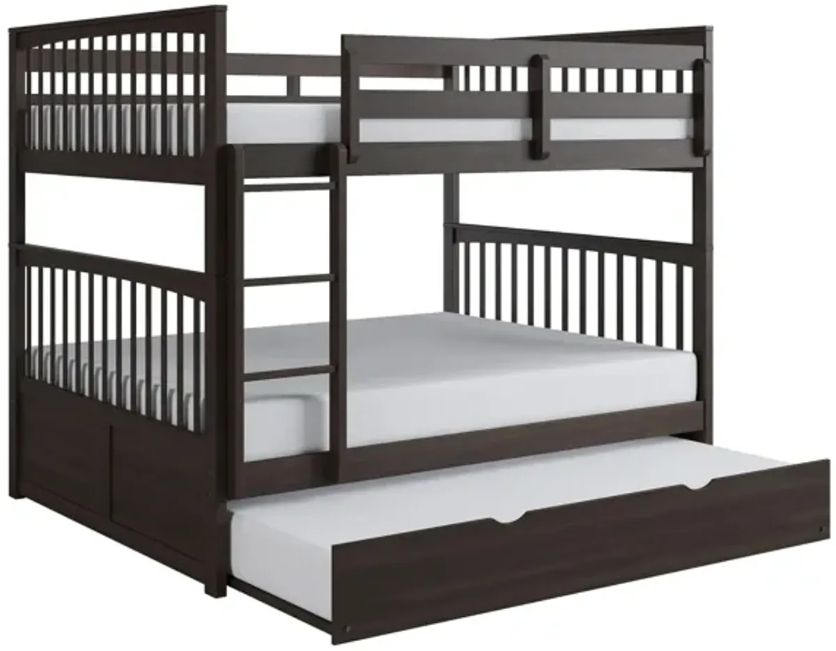 Apollo Bunk Bed with Trundle