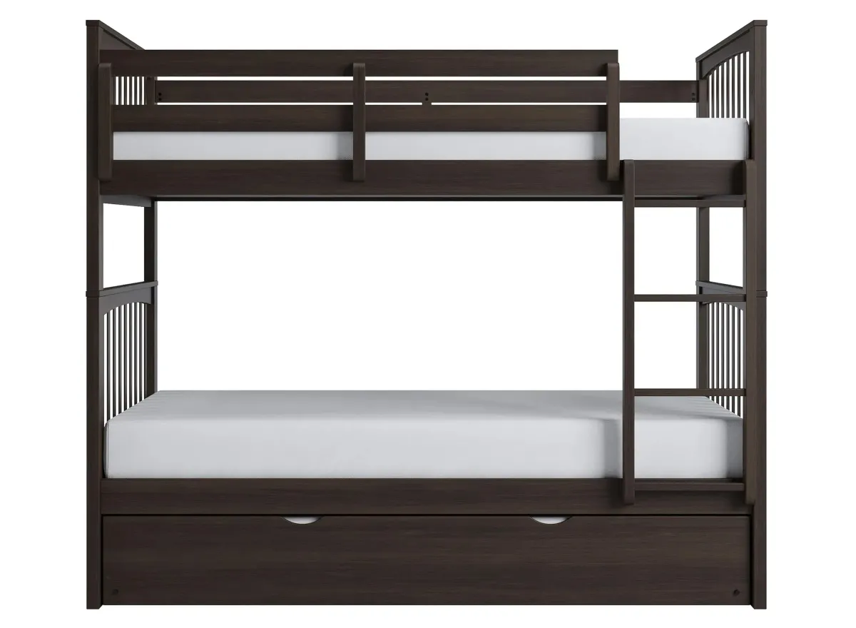 Apollo Bunk Bed with Trundle in Chocolate by Bellanest