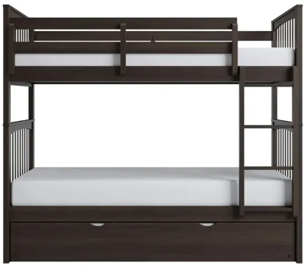 Apollo Bunk Bed with Trundle