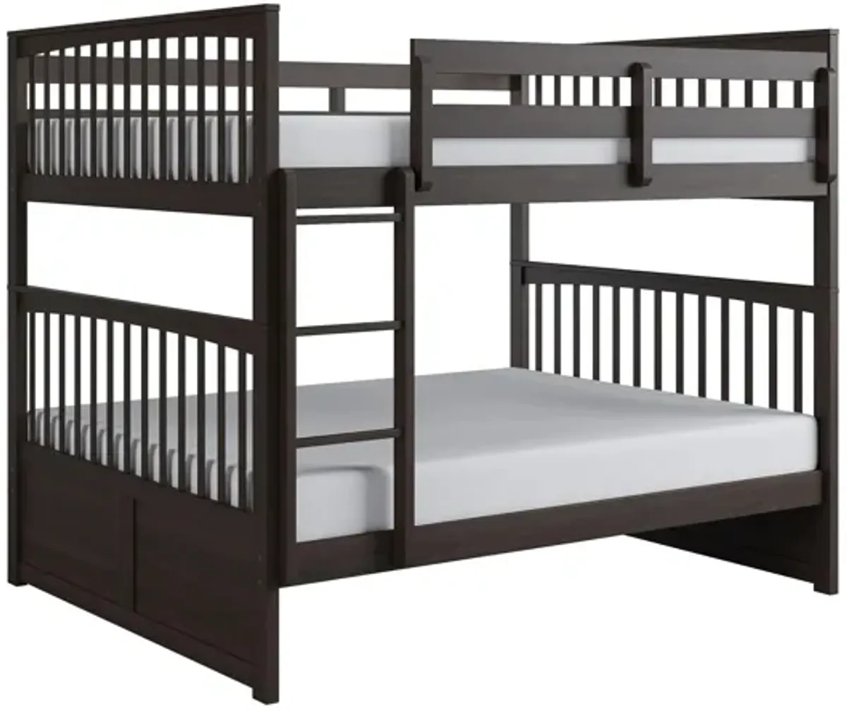 Apollo Bunk Bed