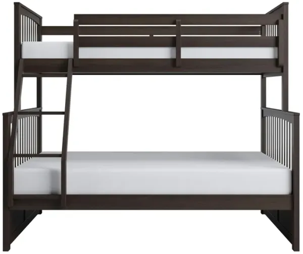 Apollo Bunk Bed