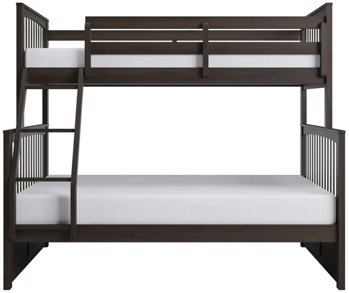 Apollo Twin-Over-Full Bunk Bed in Chocolate by Bellanest