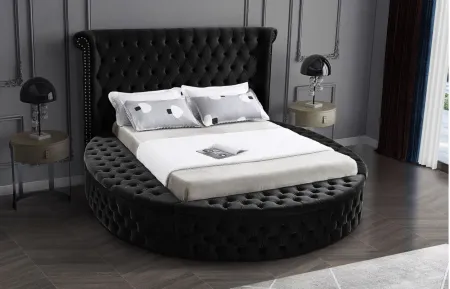 Luxus Full Bed in Black by Meridian Furniture
