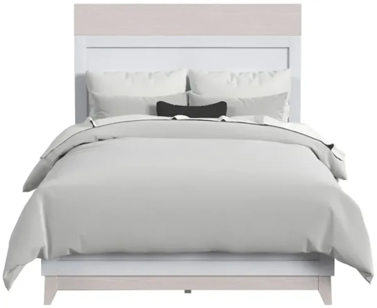 Jude Bed