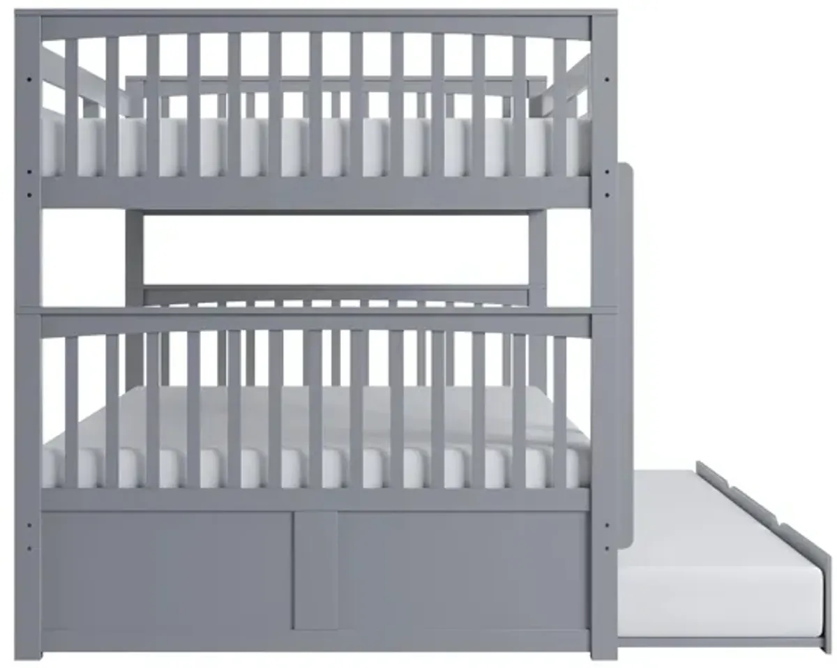 Apollo Bunk Bed with Trundle