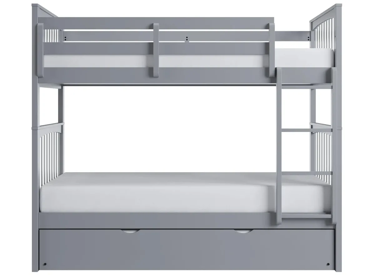 Apollo Bunk Bed with Trundle in Gray by Bellanest