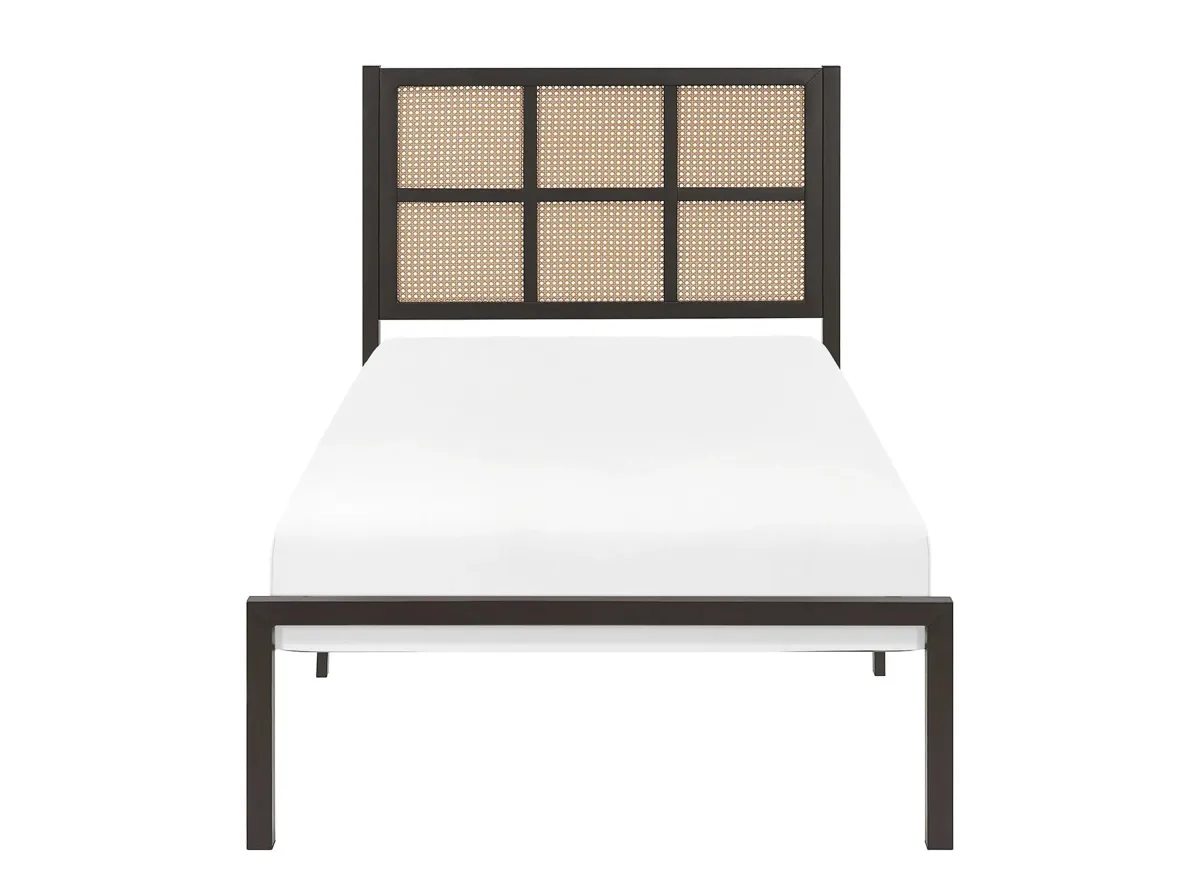 Brewster Twin Platform Bed in Dark Bronze by Homelegance