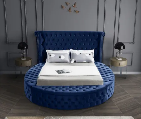 Luxus Full Bed in Navy by Meridian Furniture